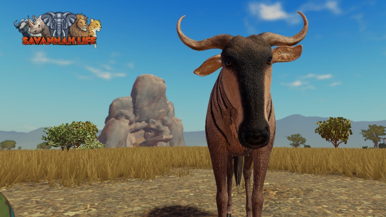 Jogando de GNU no Savannah Life! Teve quebra panelinha?! 😏💪