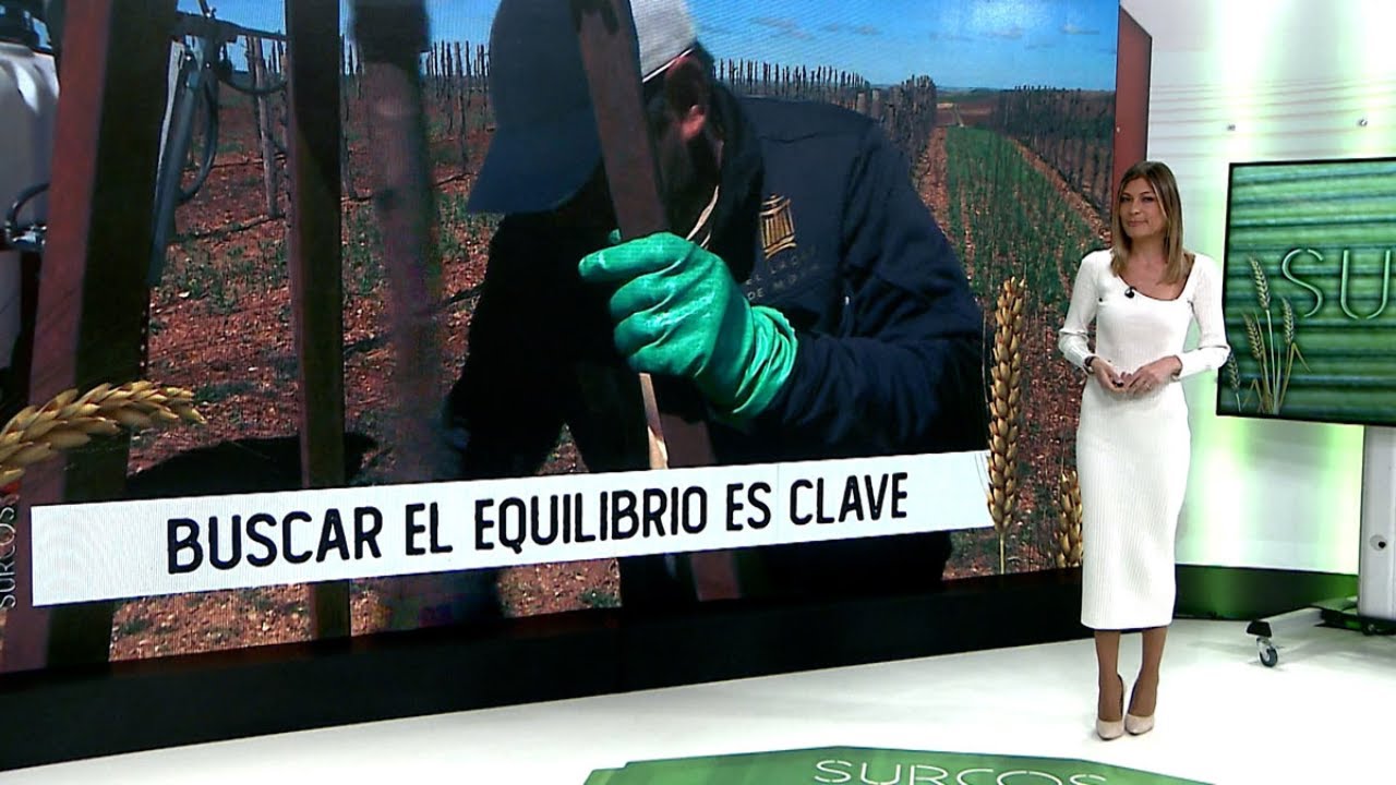 Surcos T15/E28.- La viticultura biodinámica a fondo