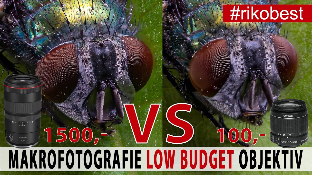 Makrofotografie - Perfekte Fotos mit low Budget Objektiven? Kitobjektiv VS Makroobjektiv im Test
