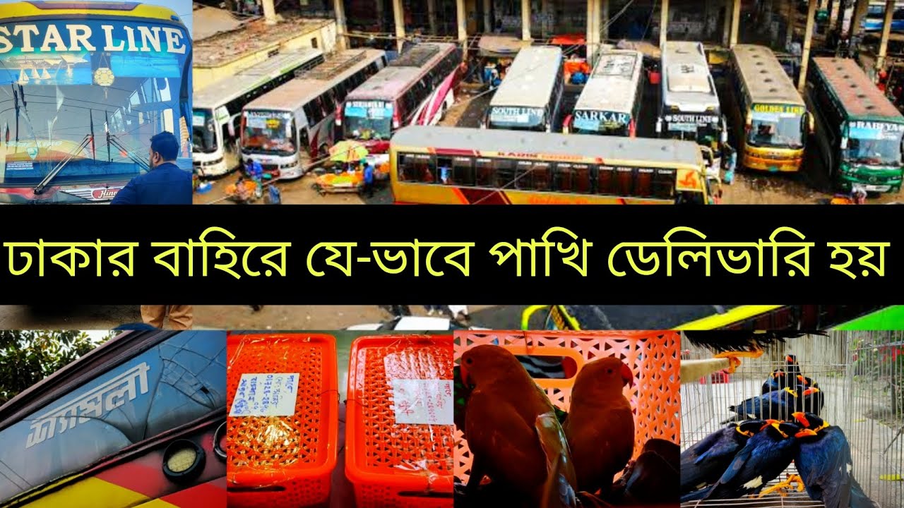 See how we deliver birds all over Bangladesh!! We deliver birds outside Dhaka. #bird_keeping