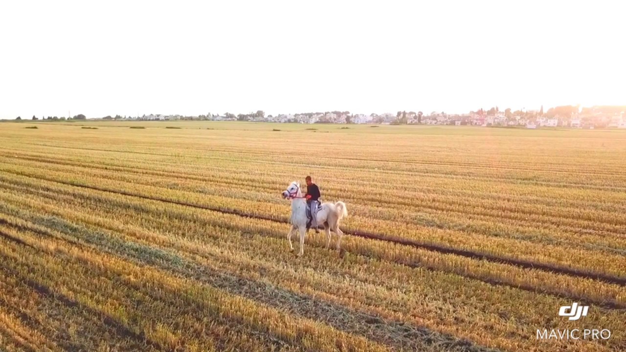 Horse riding - drone footage