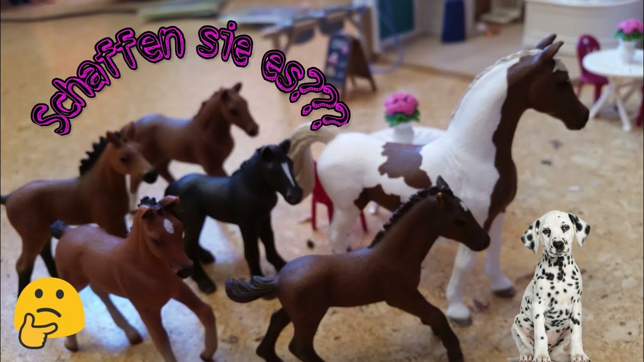 Fohlen WG Folge 8🐴Der Plan...