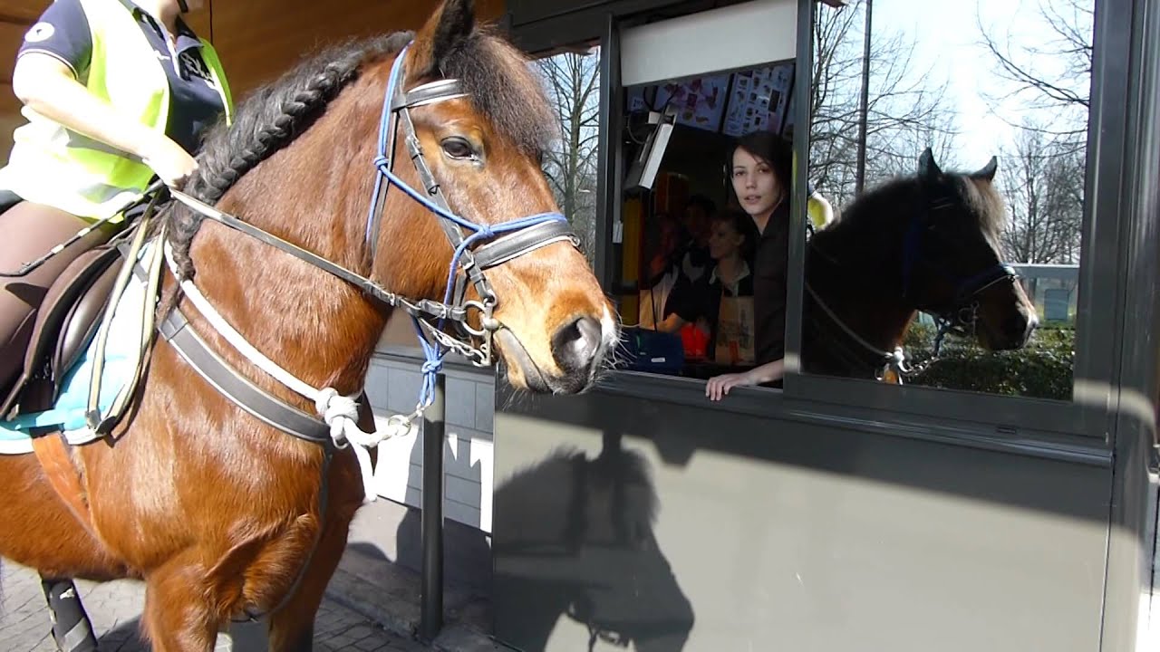 Mc'Drive à cheval !