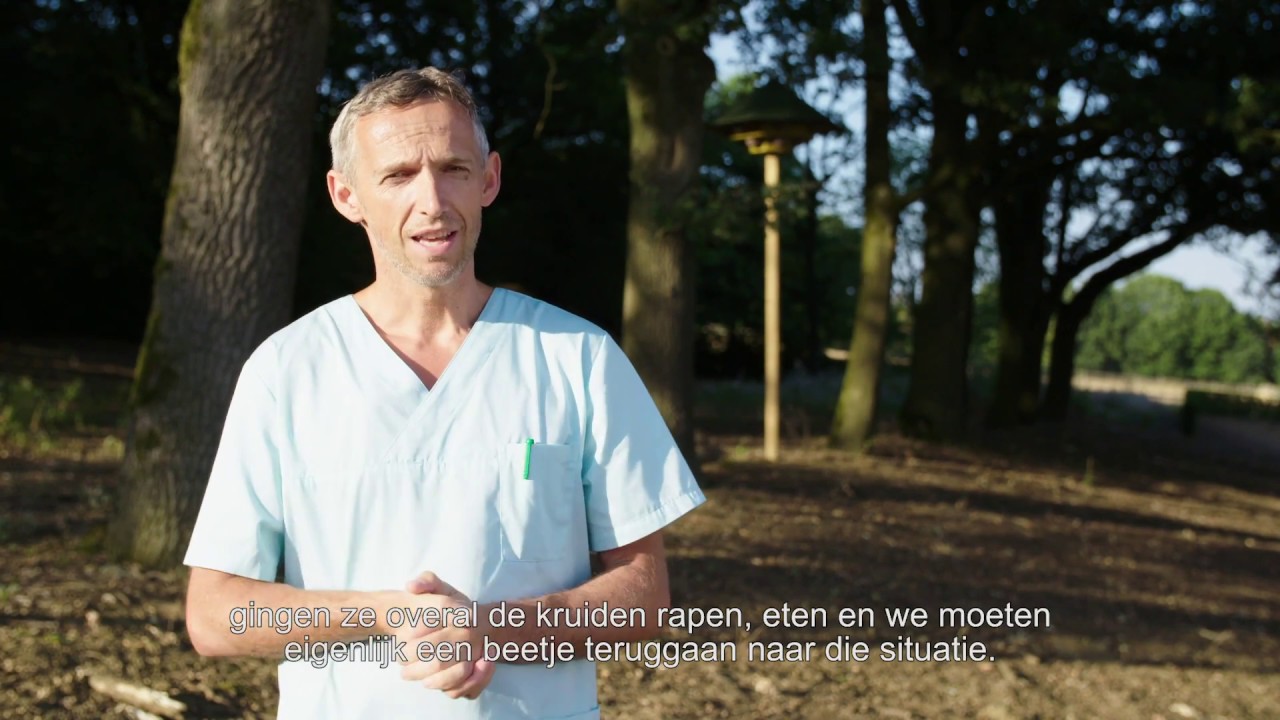 Samen op een goei wei. Maak niet alleen je paard blij!