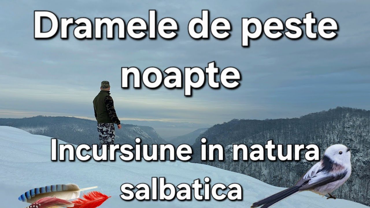 Lupta pentru supraviețuire / paduri inzapezite / Dramele de peste noapte /Incursiune in natura 