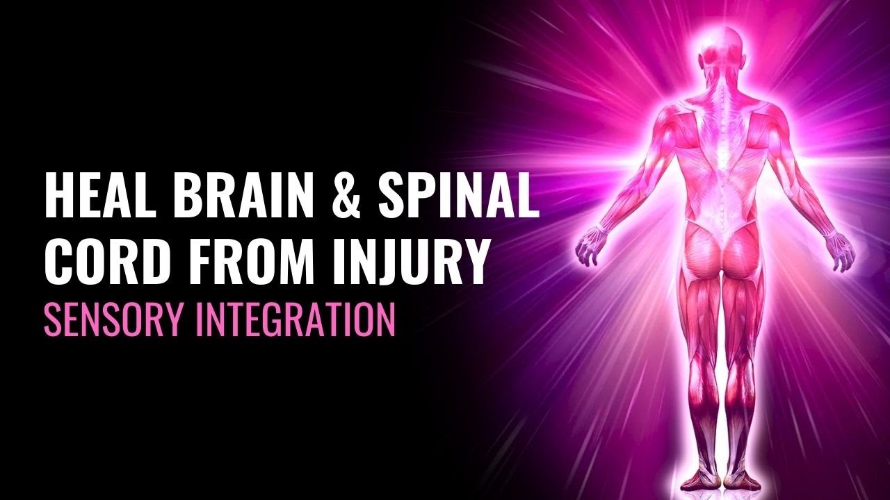 Improve Your Central Nervous System | Heal Brain and Spinal Cord from Injury | Sensory Integration