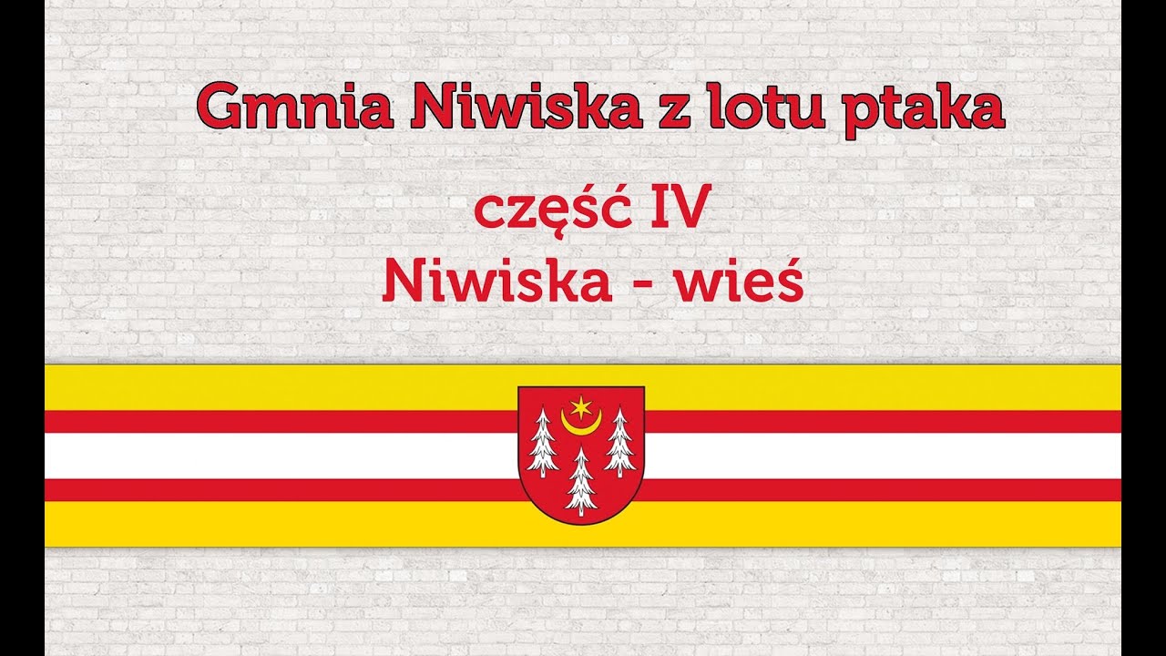 Gmina Niwiska z lotu ptaka- Niwiska wieś