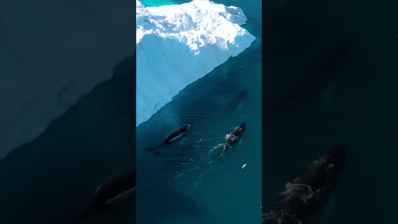 Top 5 Adventure Travel Destinations P.7 || #shorts #travel #adventuretravel #adventureplaces