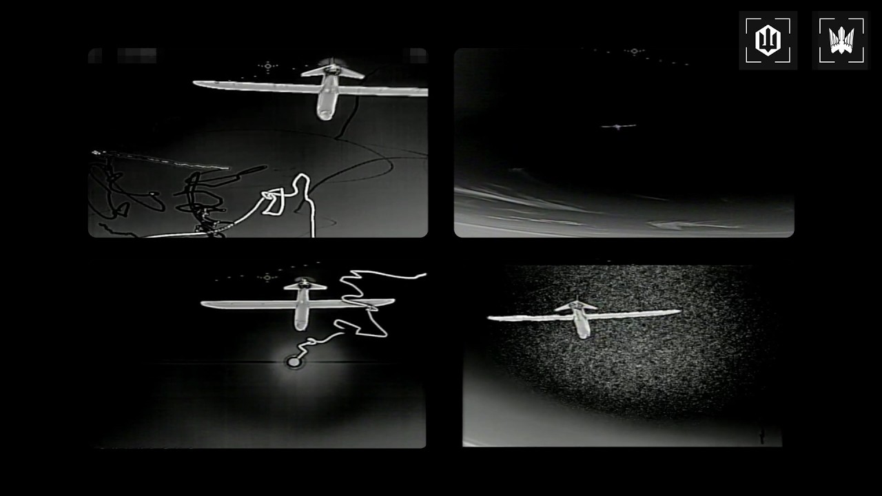 Пташина пʼятниця,13 : 4 рідкісних Мерліна, ЗРК Бук та РЛС Небо.