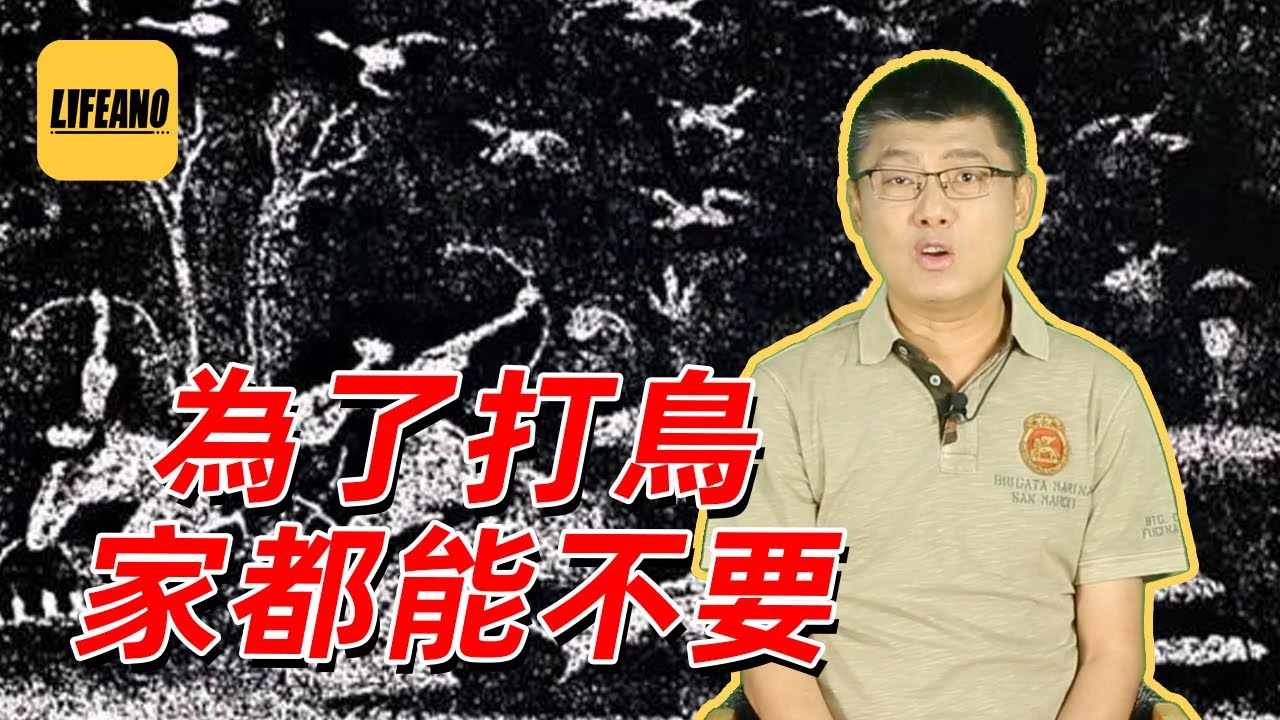 袁腾飞聊打鸟：奉旨打鸟就不违法 #lifeano漫聊 230618