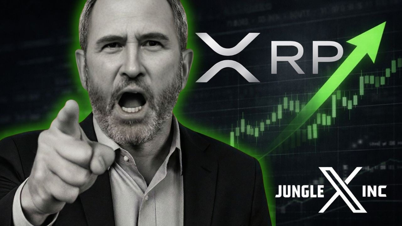 BOOM: XRP do you see it ?  🚀