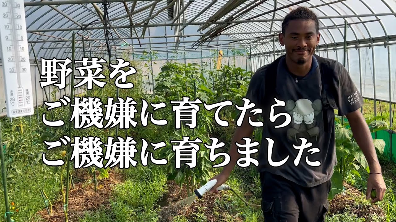 【元アスリートが農家を目指す話】外仕事の後に絶好調な自家製野菜達を食べた
