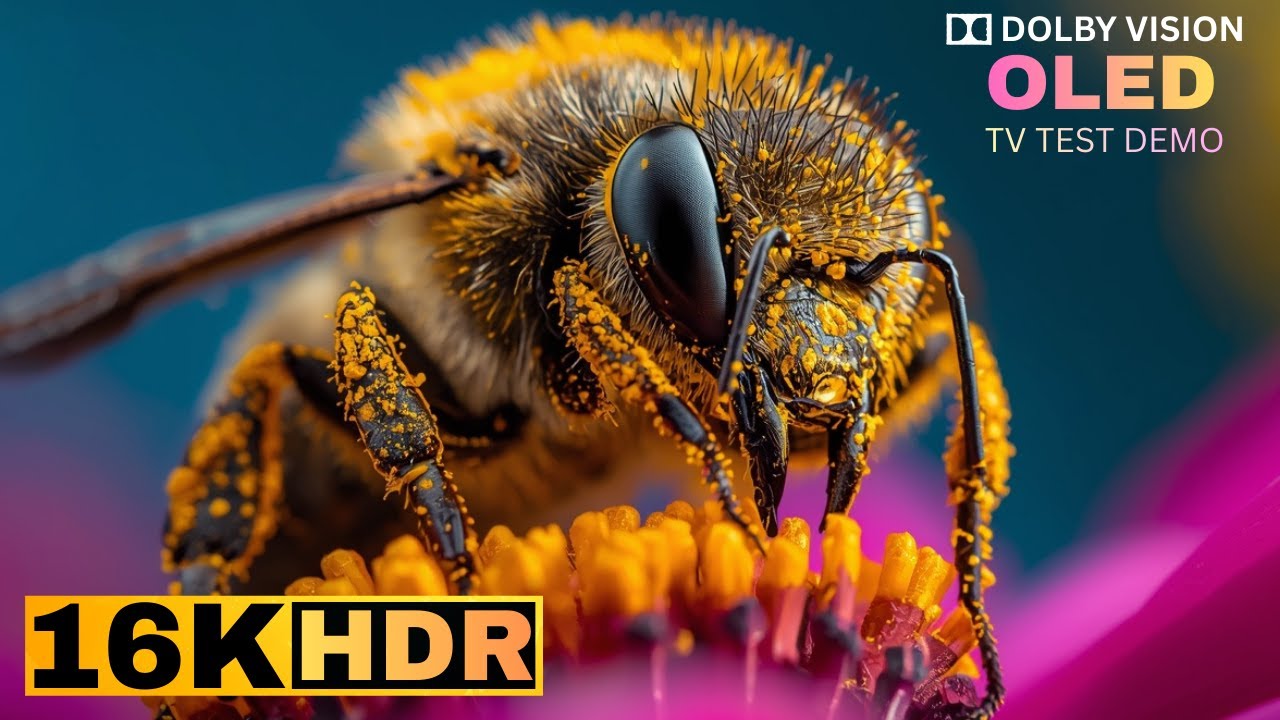 Ultra Clarity 16K HDR 120fps Dolby Vision - See the World Like Never Before