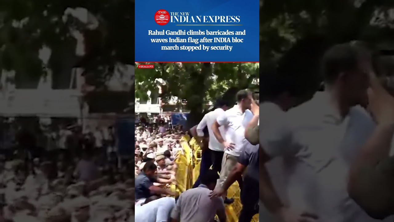 Rahul Gandhi climbs atop the barricades during the INDIA bloc MPs' march from Parliament to the ECI