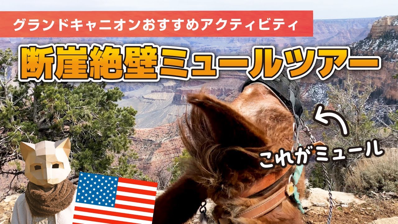 【アメリカ世界遺産】グランドキャニオンの日の出＆ド迫力！スリル満点ミュールツアー