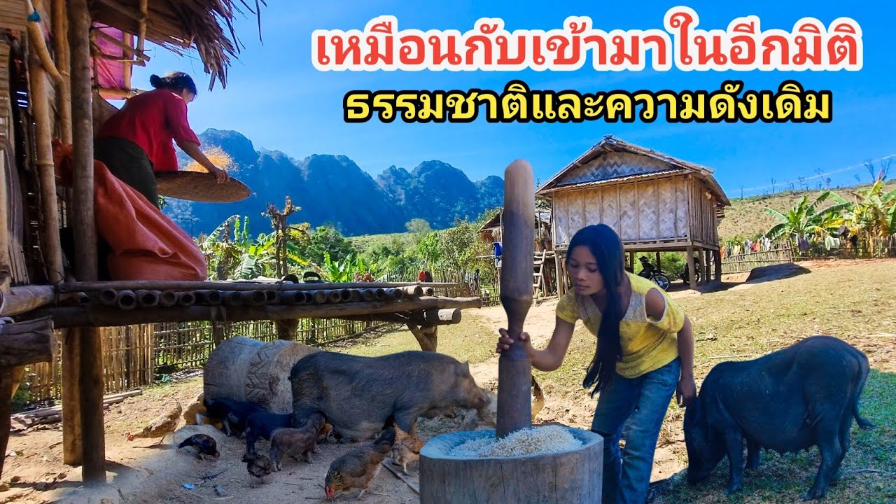 เสน่ห์ชนบทลาว ธรรมชาติสวย วิถีชีวิตน่าอยู่