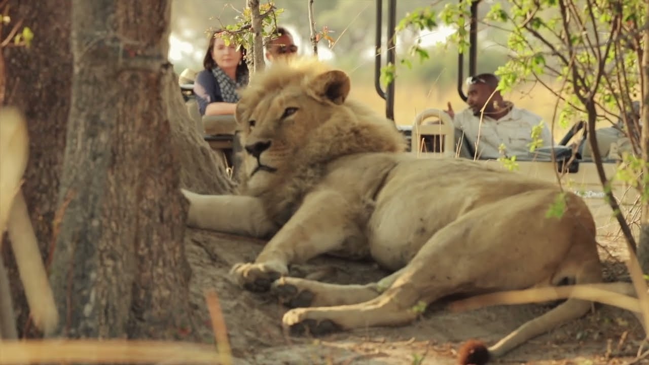 Shinde Camp - Okavango Delta