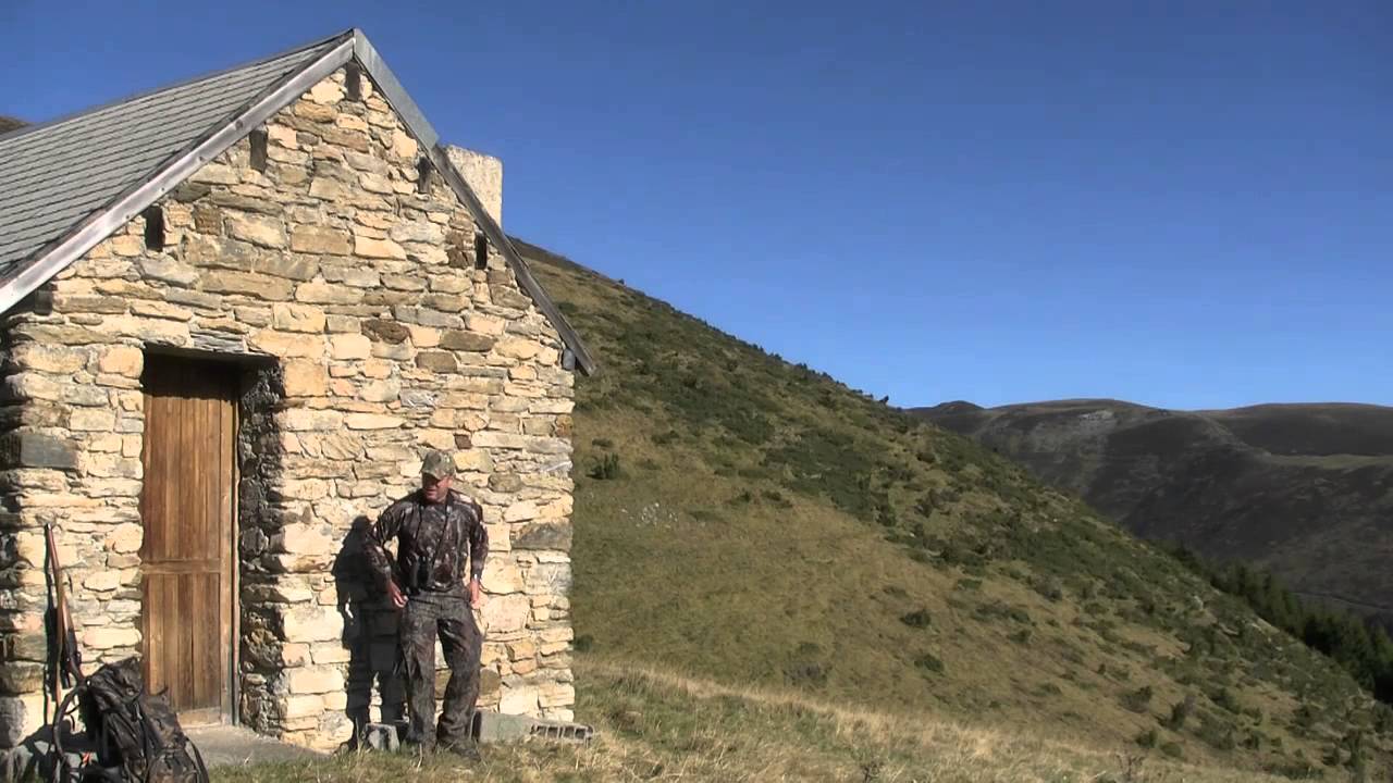 chasse au cerf en montagne