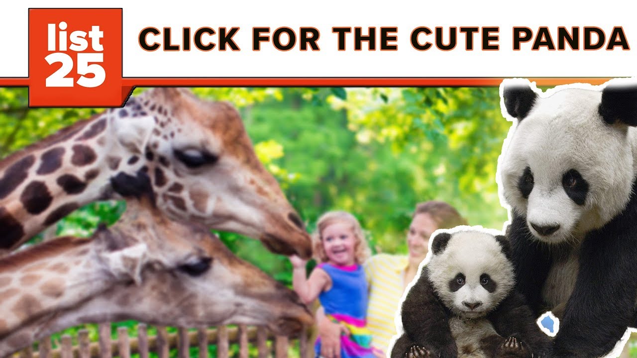 25 Largest Zoos In The World You&rsquo;ll Want To Visit