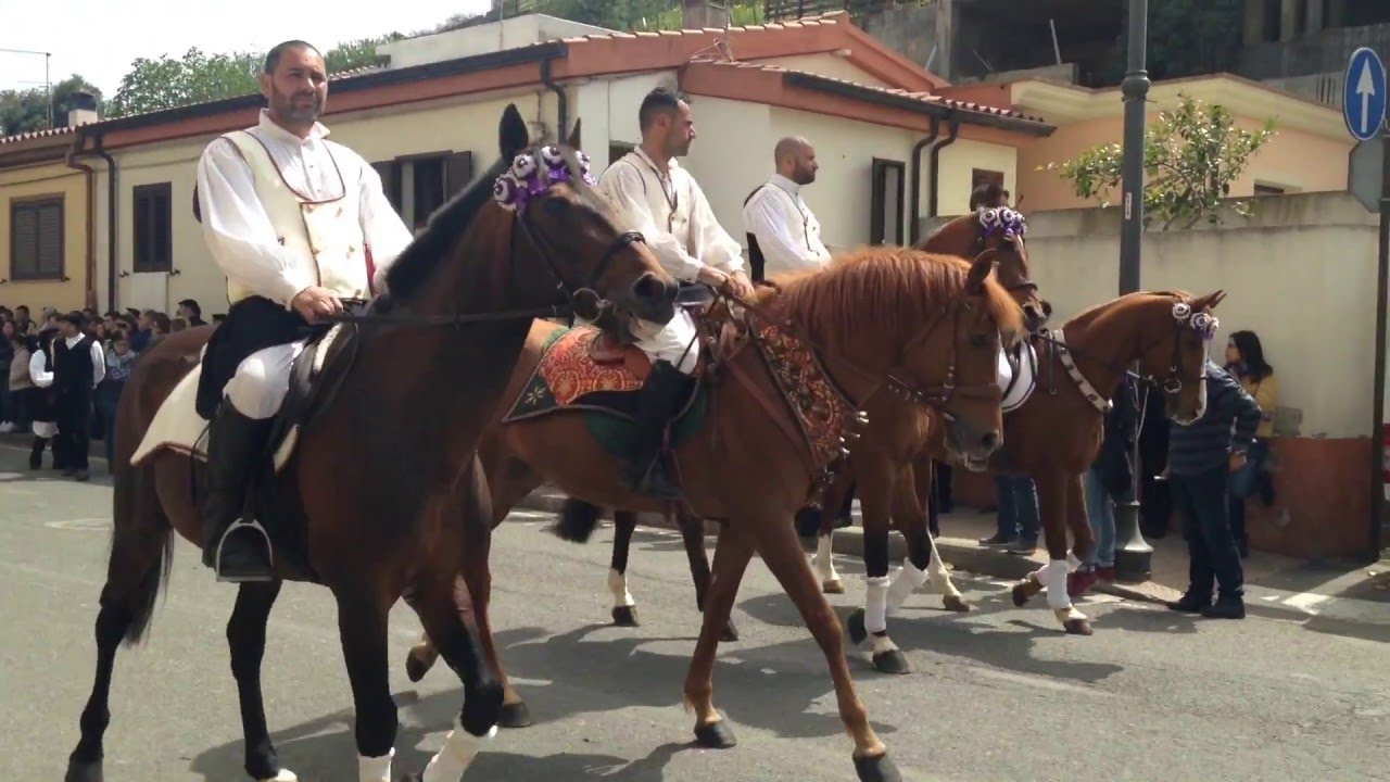 Sagra degli Agrumi 2016 - I cavalieri