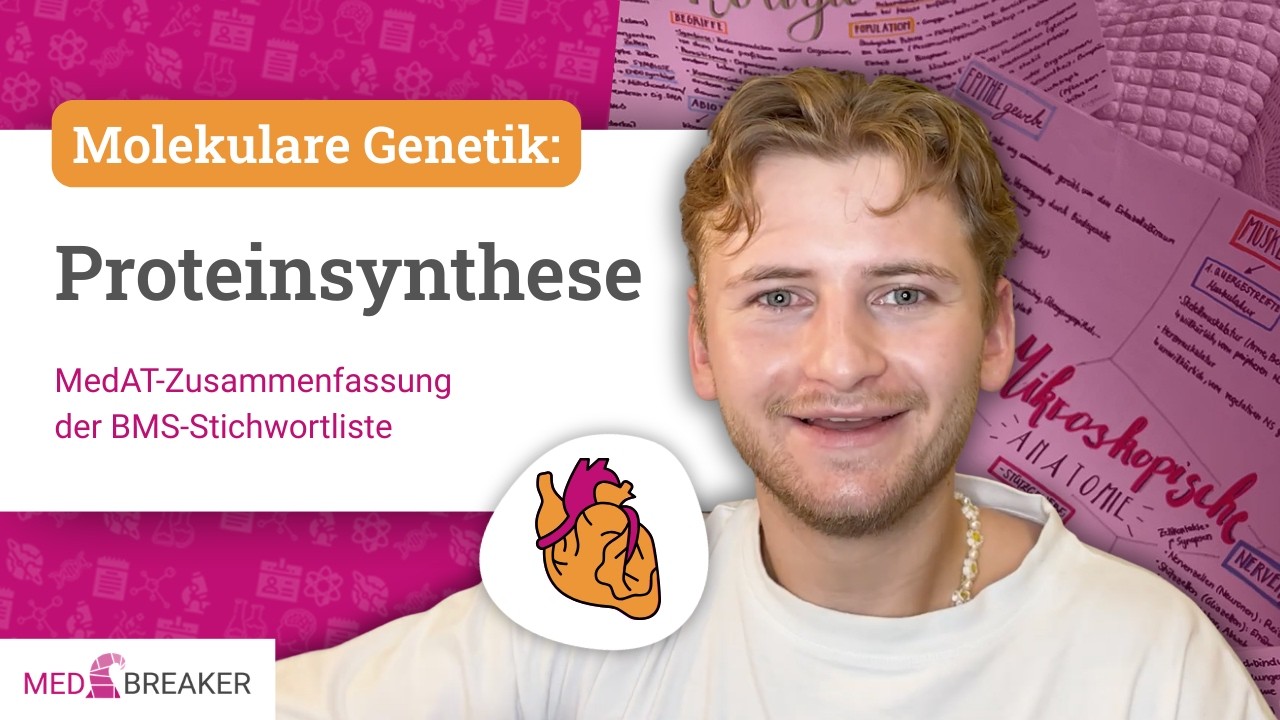 Proteinsynthese - Molekulare Genetik | MedAT-Zusammenfassung der BMS-Stichwortliste