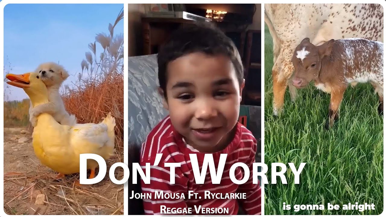 Don't worry - John Mousa Ft. Ryclarkie | Reggae Version with cute animal videos
