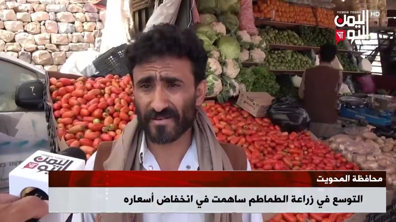 شاهد || التوسع في زراعة الطماطم بمحافظة المحويت ساهمت في انخفاض أسعاره - 17-03-2026م