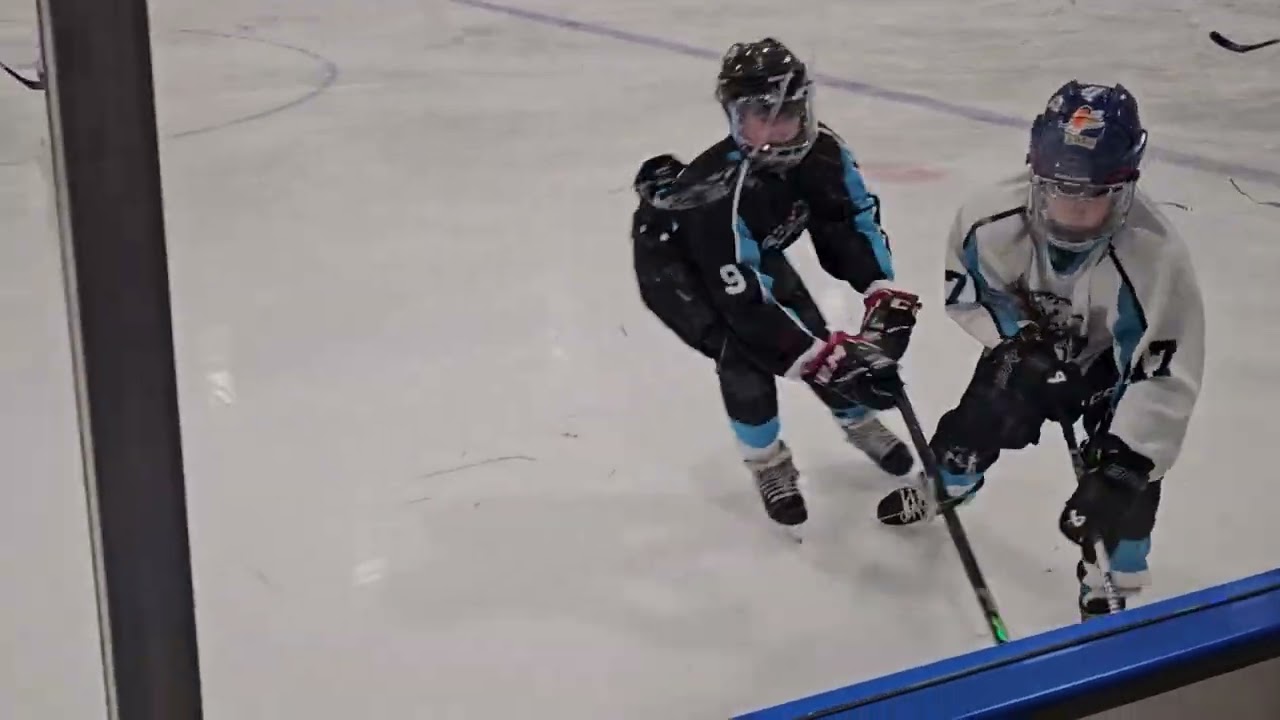 HOME vs VMHA U13C2 Danglelorians