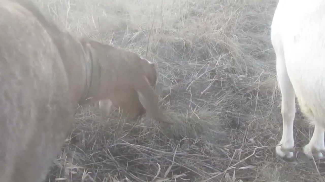 Ваш выход!