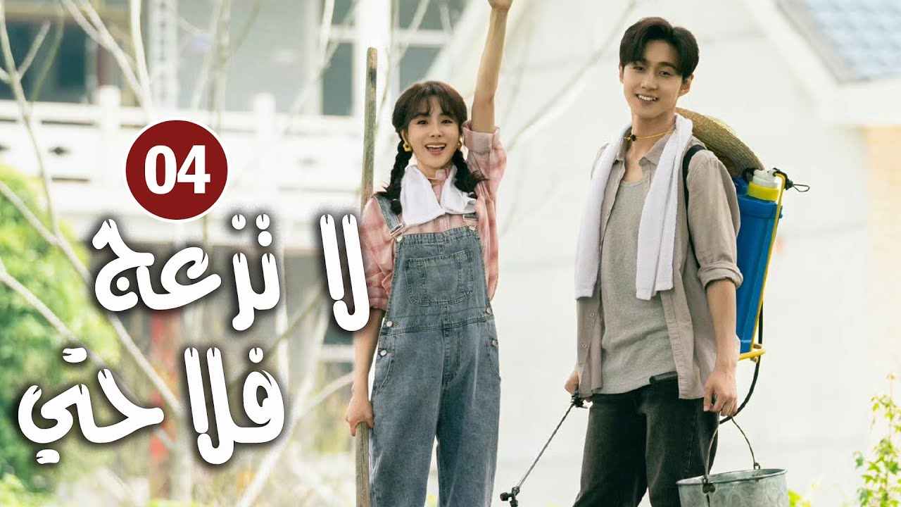 حلقة 04 دراما زواج رئيس متعجرف من فلاحة في القرية ( لا تزعج فلاحتي  | Don't Disturb Me Farming  )