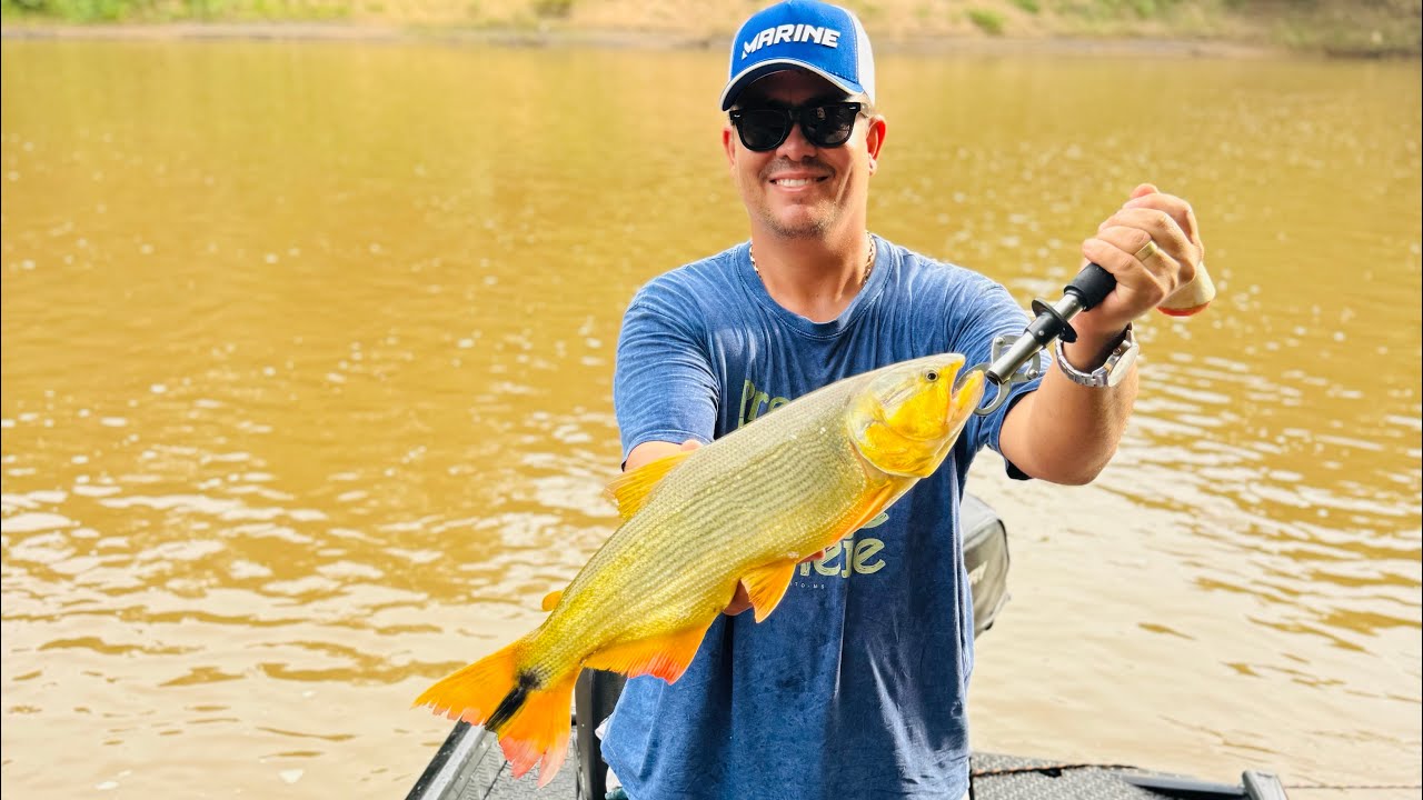 Hj teve Dourado e Piau açu na ponta da linha!  Pescaria no Rio Miranda Bonito Ms