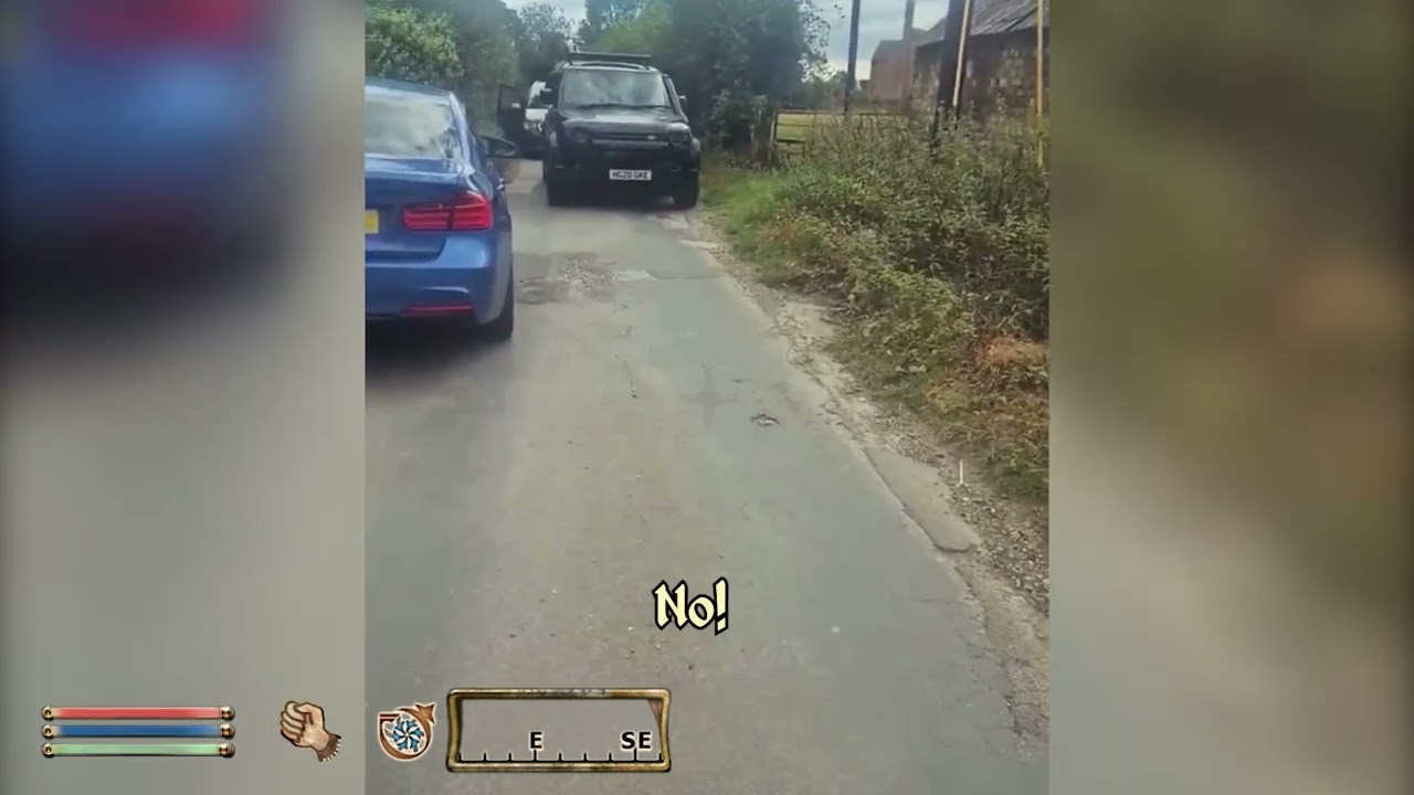 Oblivion NPC Ты не сможешь припарковать там своего ездового животного, дорогая!