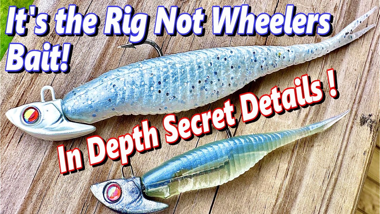 How YOU Can WIN Like a PRO With The Damiki RIG