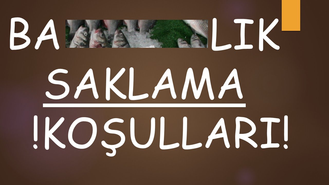 Balık Saklama Koşulları