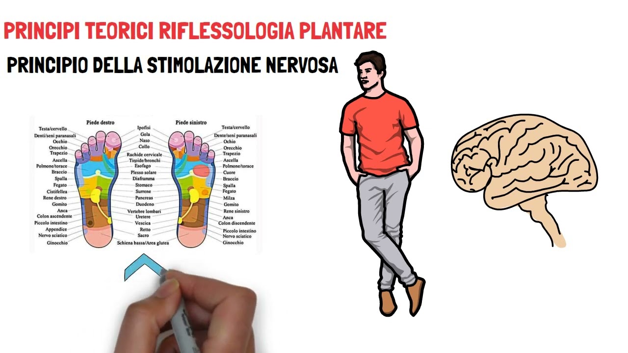 44.  Riflessologia plantare