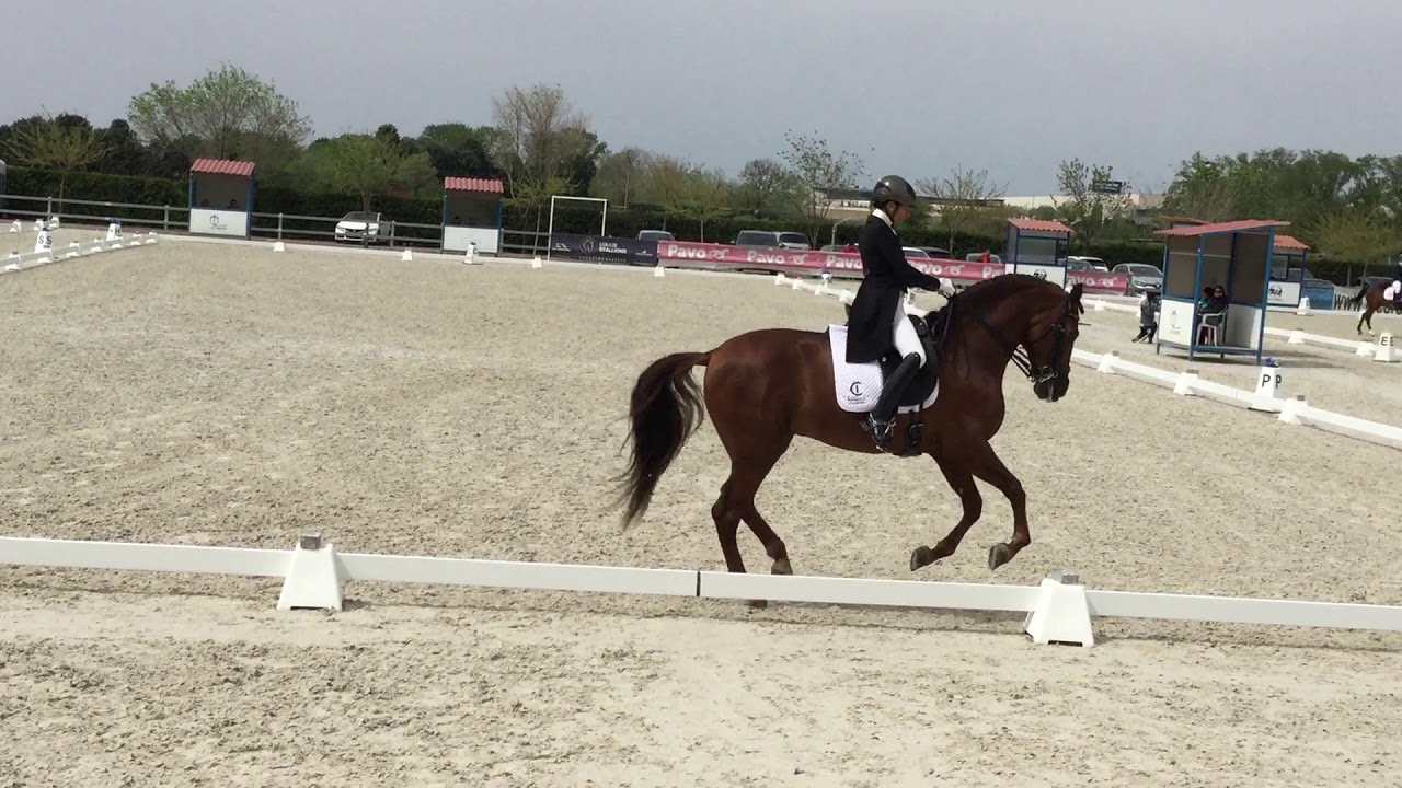 PERDIDO CAD. Prueba San Jorge 21/04/2019