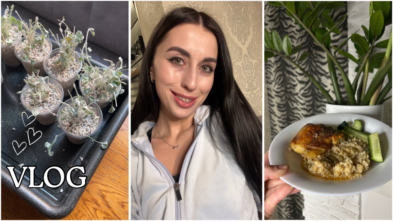 🌸Весенний VLOG// Мои планы на весну// Черенкование дихондры// Ужин для семьи🥘🍴