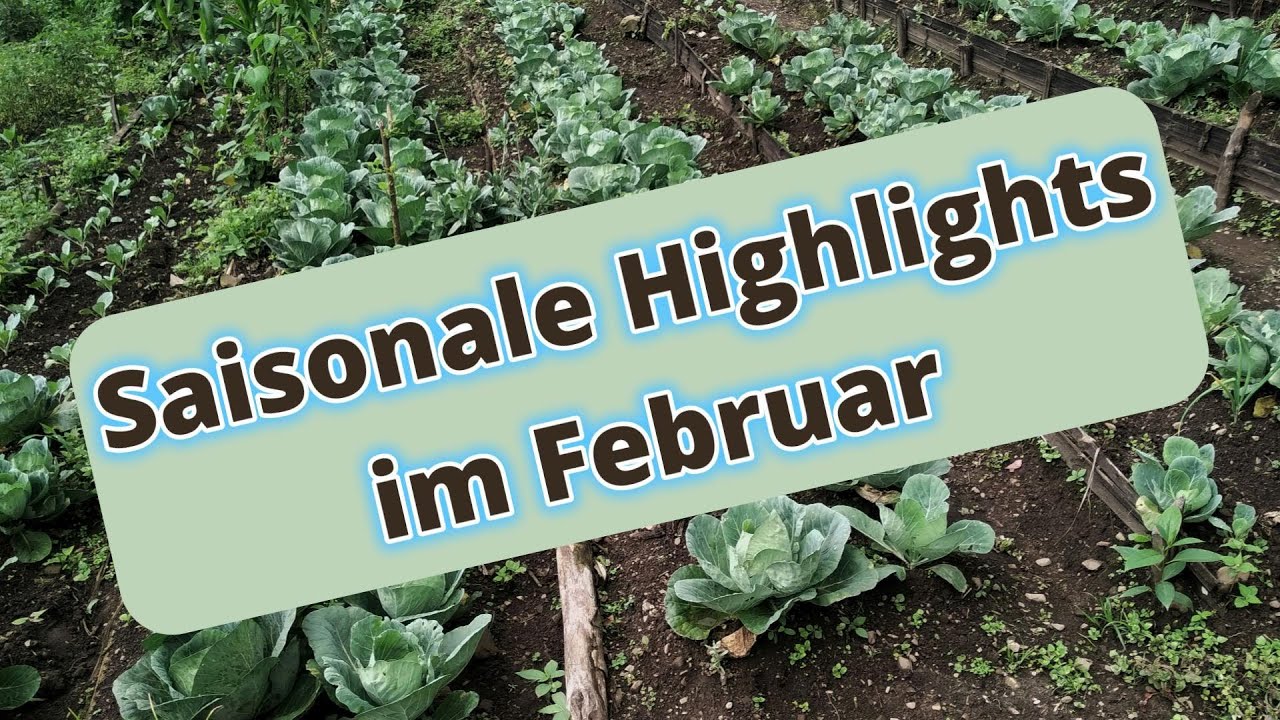 Erntekalender Februar: Was hat jetzt wirklich Saison?