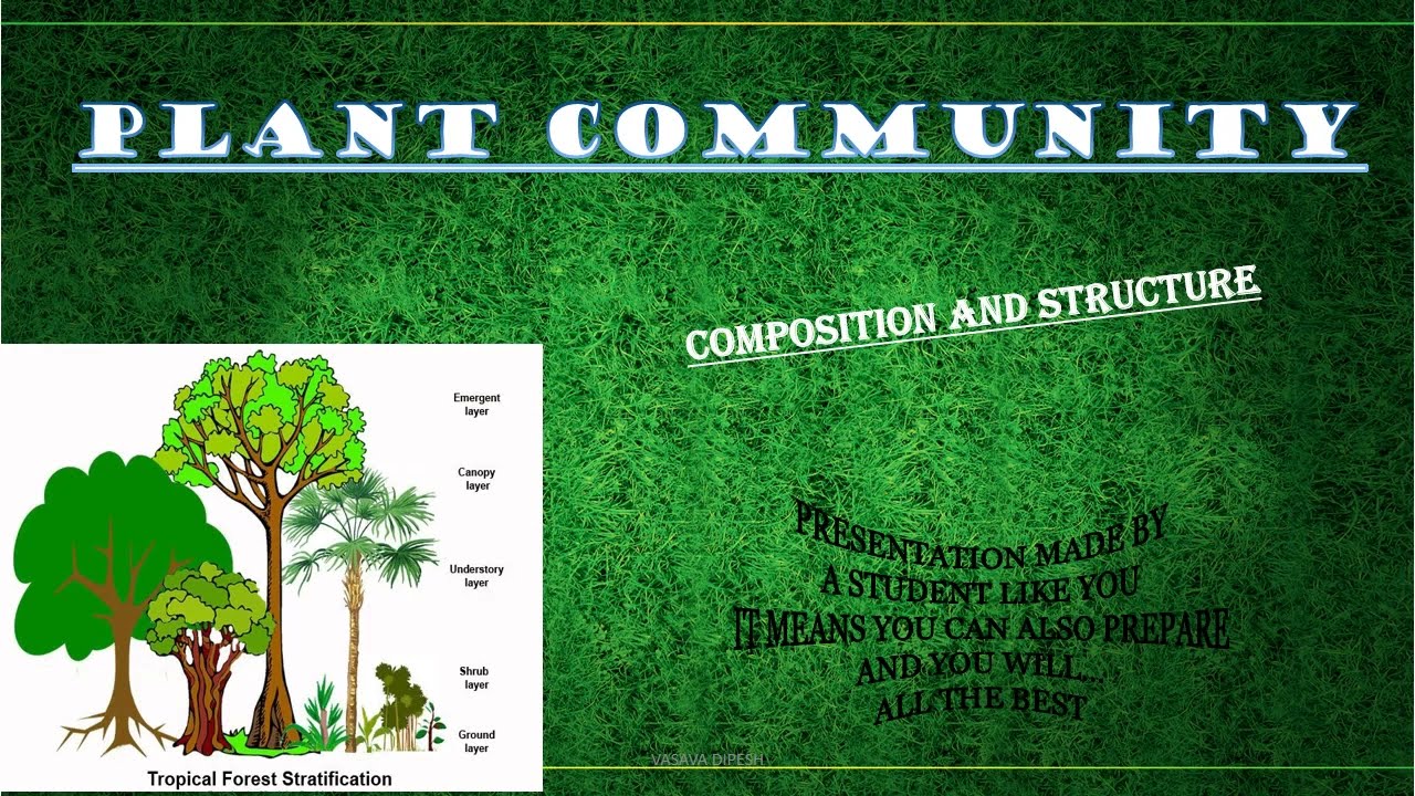 PLANT COMMUNITY