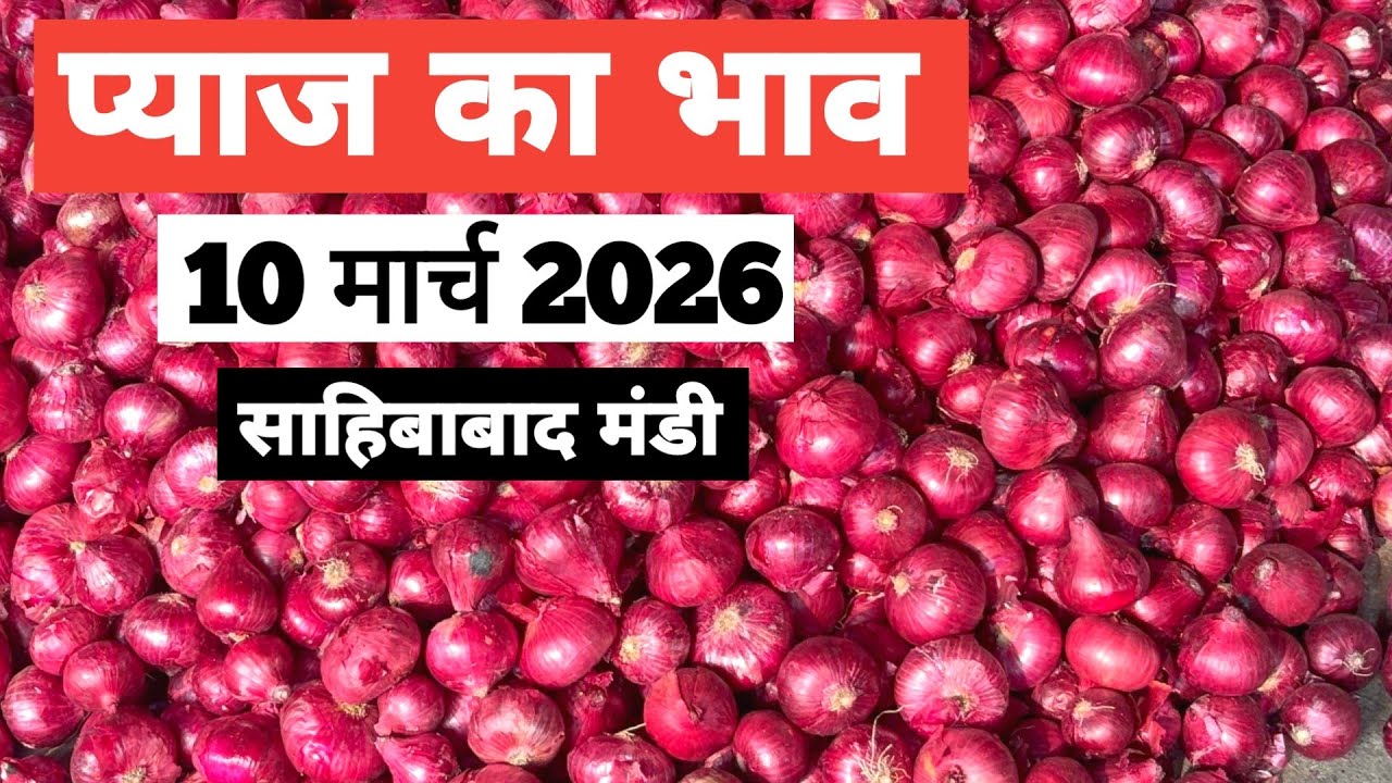10 March 2026🧅प्याज़ का भाव साहिबाबाद मंडी ।। Today Onion Rate in Sahibabad Mandi || Bharat ke Bazar