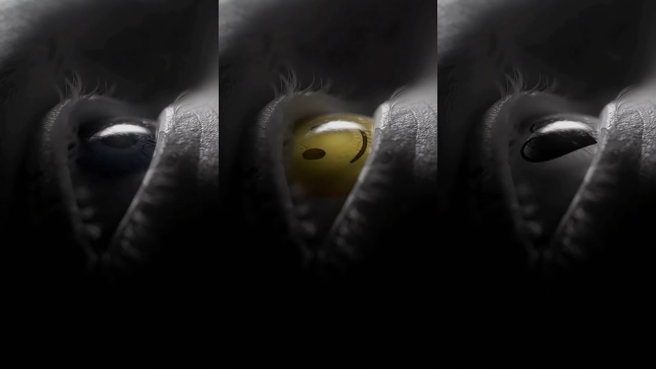 Mrak - Speranza
