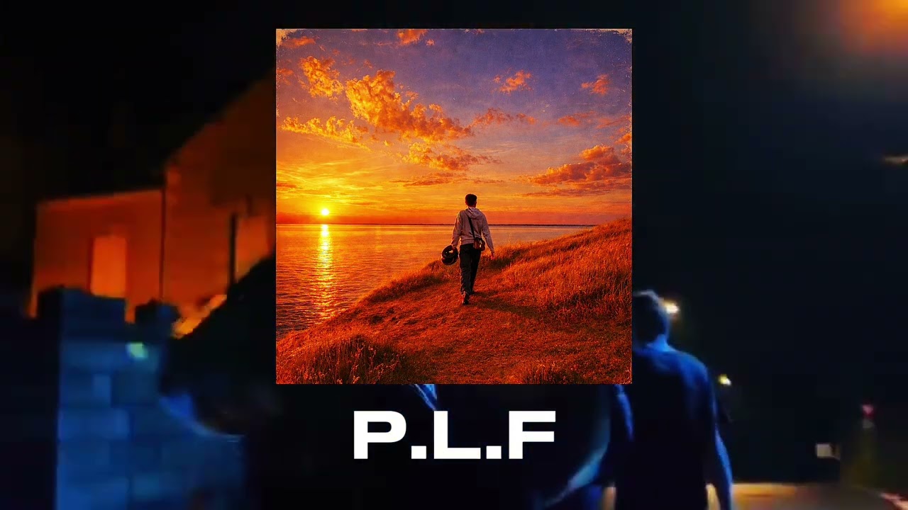 P.L.F - SVM 856