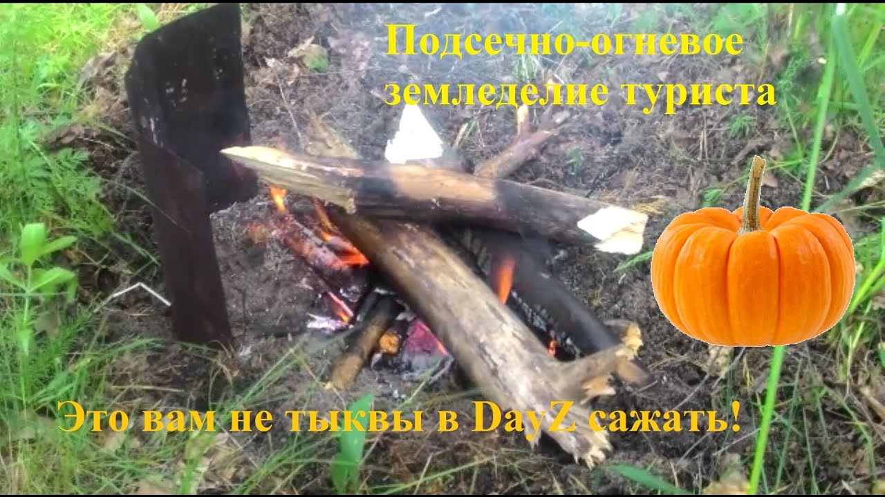 Подсечно-огневое земледелие для туриста. Часть 1. 