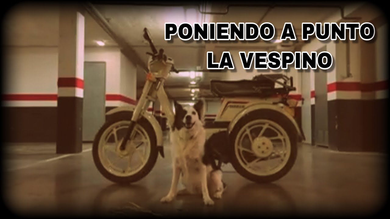 PUESTA A PUNTO TRAS AÑOS PARADA (VESPINO ELESTART)