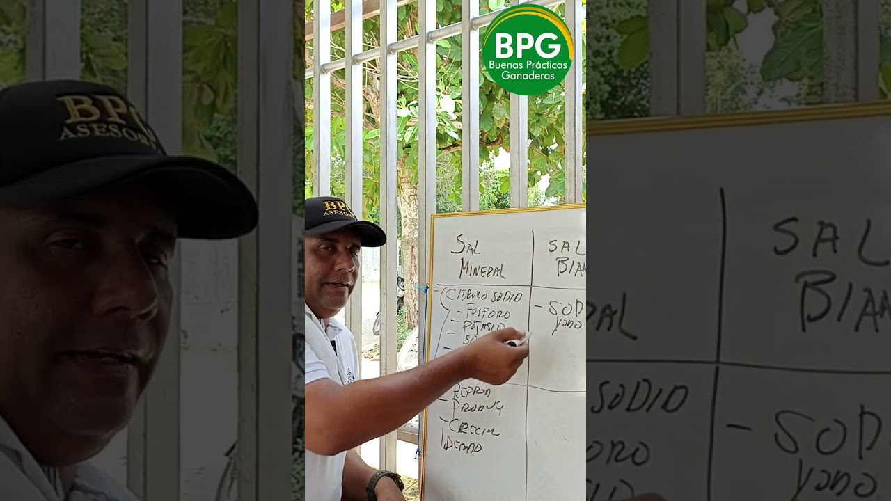&iquest;Sal mineral o Sal Blanca? Cu&aacute;l utiliza usted en su finca.