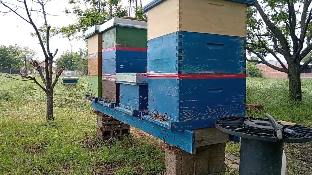 Stanje u pčelinjaku 07.05.2025.