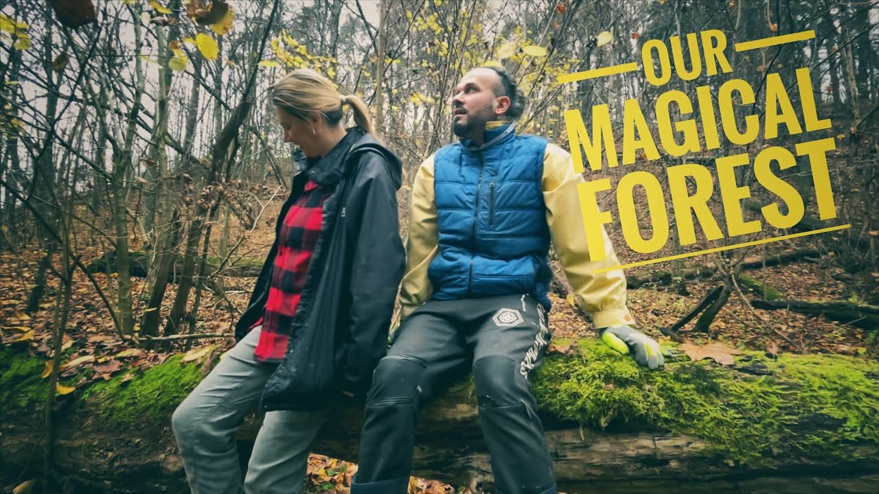 ONE DAY EXPEDITION IN OUR FOREST // Seagull House Off-Grid Project //2022