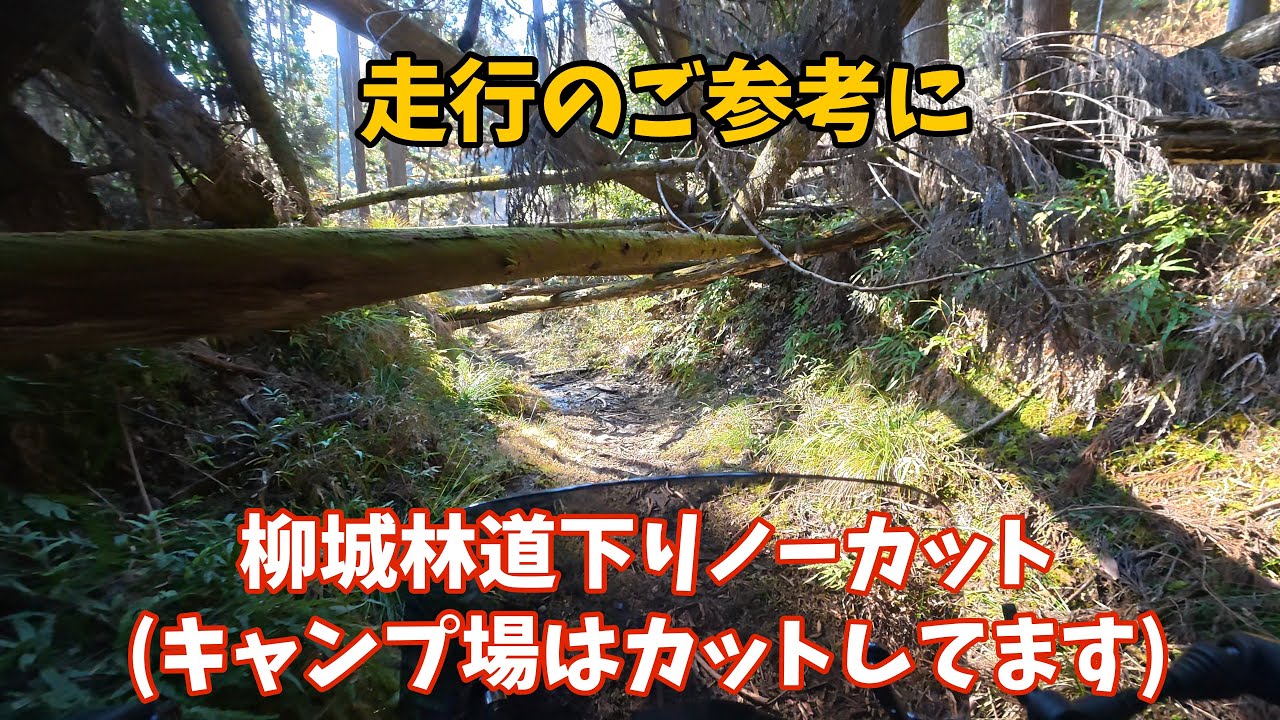柳城の林道下りノーカット版(鼻すする音注意)入り口はツルツル坂の逆