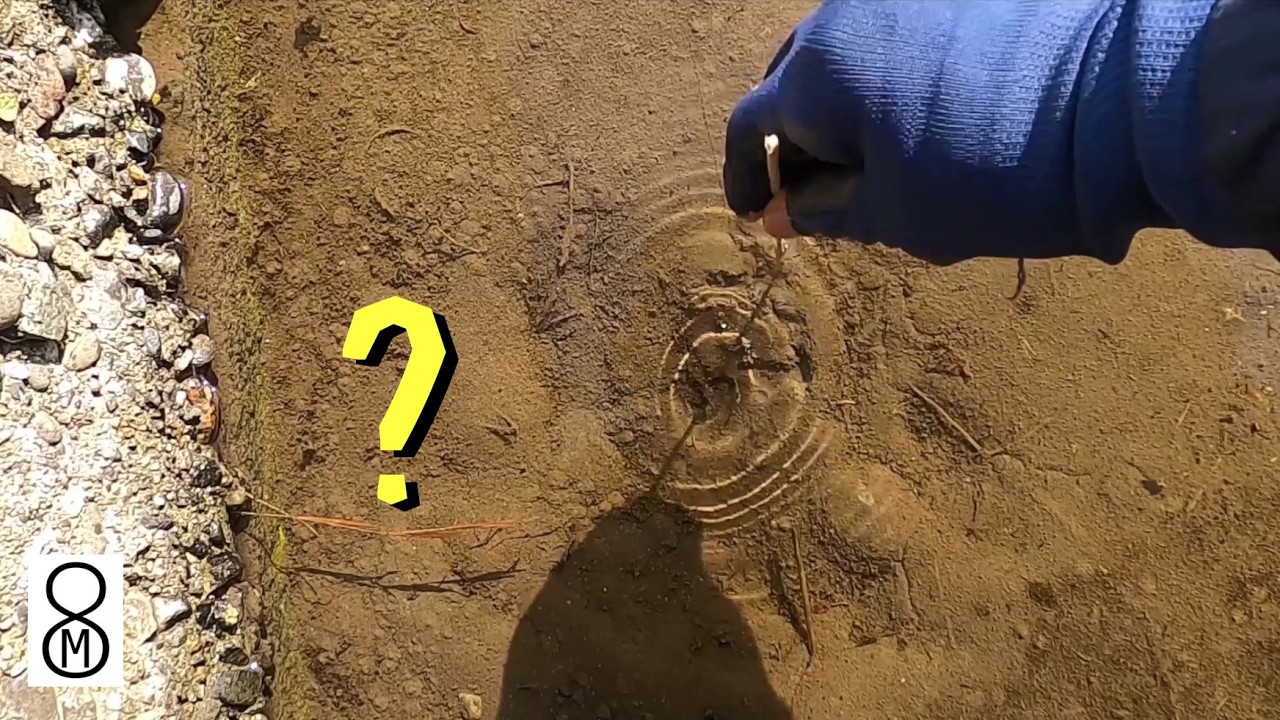 田んぼの溝でドブガイを釣ってみた