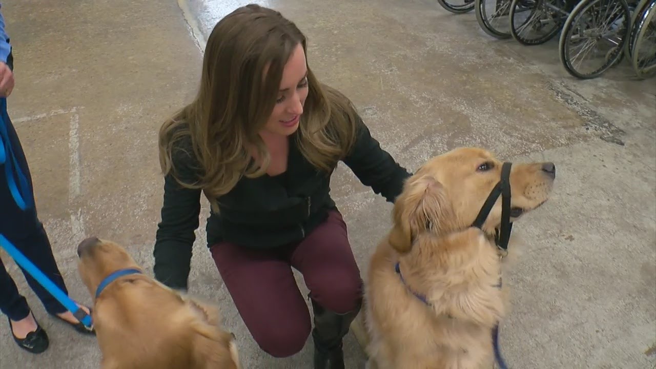 Accomplish With Kylie: Helping Paws